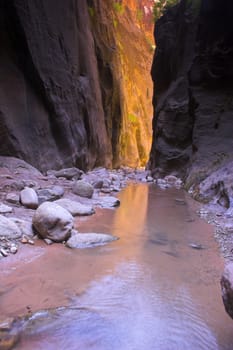 Canyons made with rivers and creeks in Zion National Park in Utah, USA