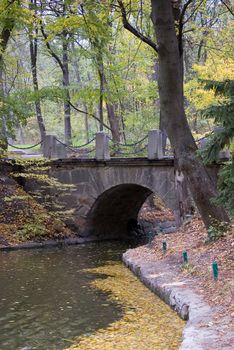 
bridge in autumn forest
