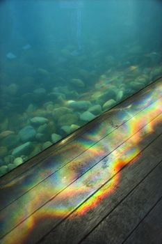 Aquarium with rainbow pattern of light passing through water onto wood paneling.