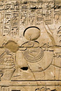 Egyptian Hieroglyphs in the temple of Luxor , Egypt
