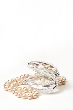 Shell & beautiful beads with pearls