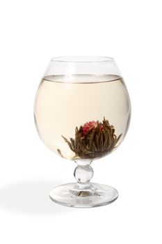 Glass with a flower green tea on white background