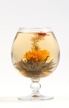 Glass with a blooming flower green tea on white background