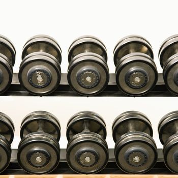 Hand weights on rack at health club.