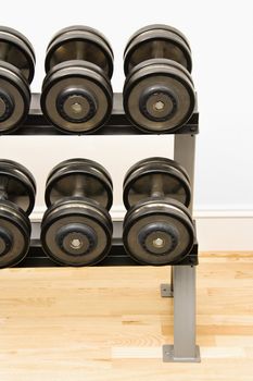 Hand weights on rack at gym.