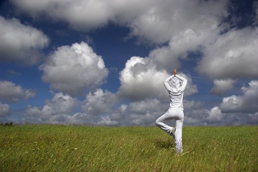 Beautiful athletic woman making yoga on a beautiful green meadow