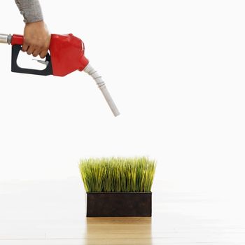 Woman holding gasoline pump nozzle over green grass.