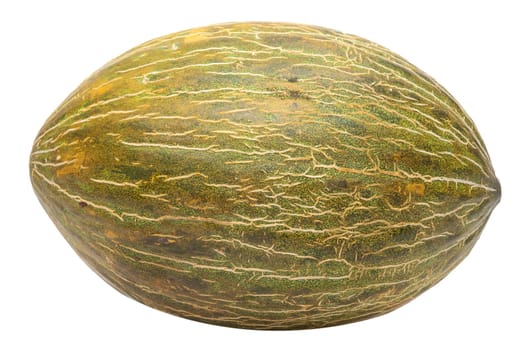 Green melon isolated on white background .