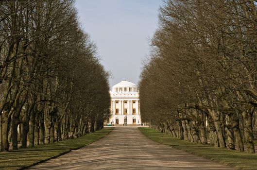 Park alley in Pavlovsk, near Saint-Petersburg