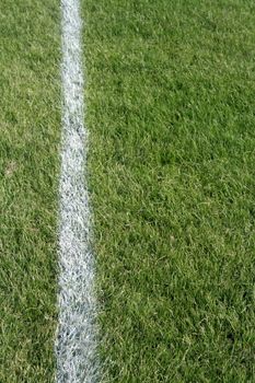 A closeup of a white line on a grass sports field.