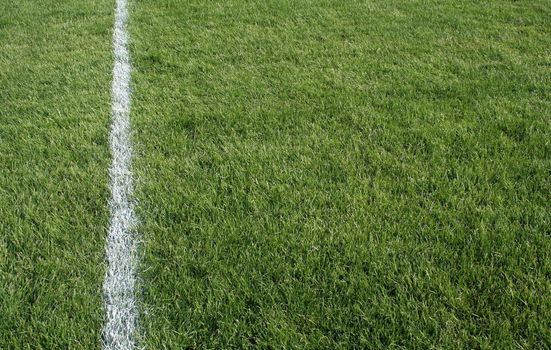 A closeup of a white line on a grass sports field.

