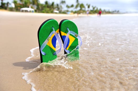 Brazilian Flipflop on the beach
