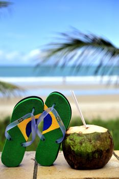 Brazilian Flipflop on the beach