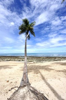 Beach in Brazil
