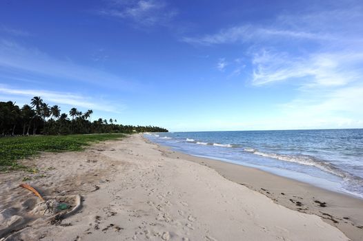 Beach in Brazil
