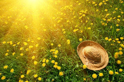 Rays of afternoon sun on green grass with straw hat