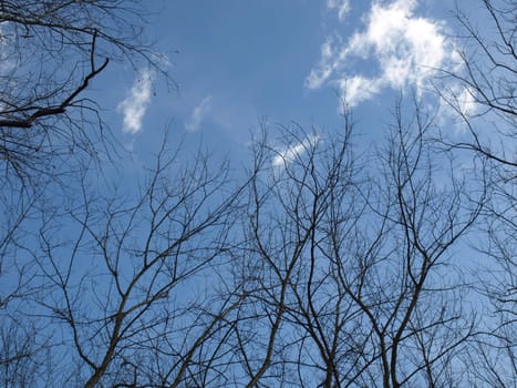 Blue sky with white clouds background