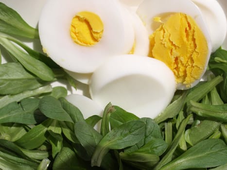 Detail of salad with lettuce and eggs