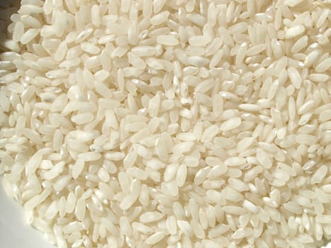 Detail of a rice background