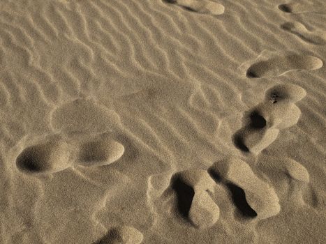 Footsteps or marks on the sand in a desert or on a beach