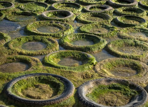 Abstract image showing old tyres covered in algae and seaweed