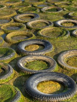 Abstract image showing old tyres covered in algae and seaweed