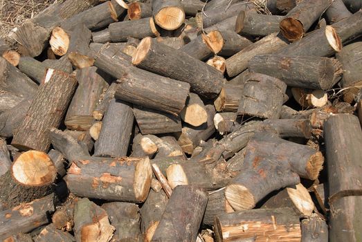 cut wood in chaotic heap outdoor background