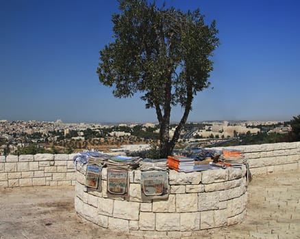 Olive tree on Mount of olives in Jerusalem