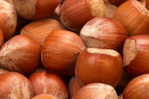 Closeup take of unshelled hazelnuts, food background