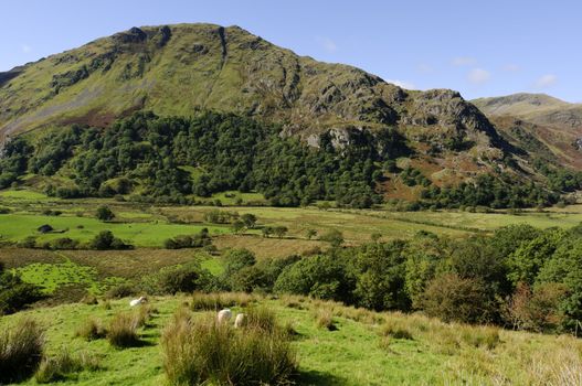View of Gallt y Wenallt in Snowdonia National Park Gwynedd North Wales