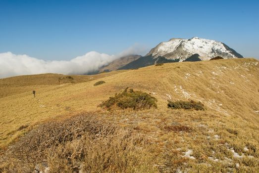 A landscape with snow mountain peak and yellow grassland.