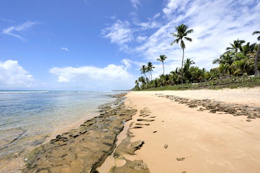 Beach in Porto de Galinhas, Brazil
