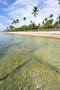 Beach in Porto de Galinhas, Brazil
