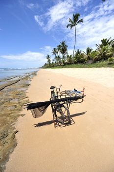 Beach in Porto de Galinhas, Brazil
