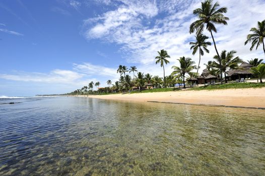 Beach in Porto de Galinhas, Brazil
