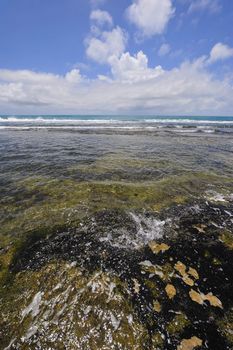 Beach in Porto de Galinhas, Brazil
