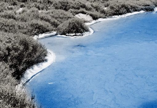 Beautiful strange iced pond surface and grass.