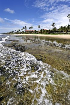 Beach in Porto de Galinhas, Brazil
