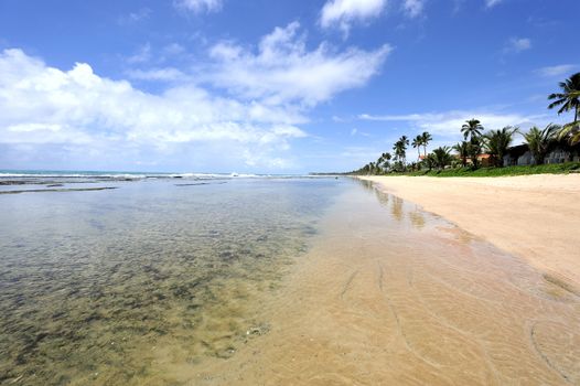 Beach in Porto de Galinhas, Brazil
