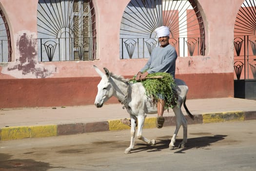 We take a closer look at life of people on the streets of Edfu, Egypt, on MAY 26, 2008.