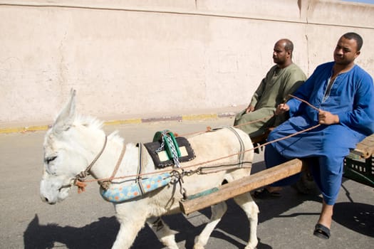 We take a closer look at life of people on the streets of Edfu, Egypt, on MAY 26, 2008.