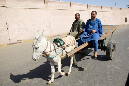 We take a closer look at life of people on the streets of Edfu, Egypt, on MAY 26, 2008.