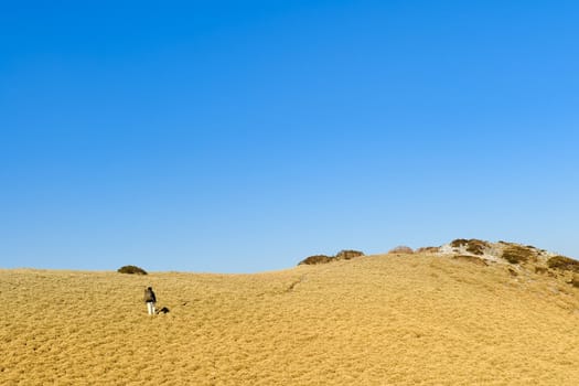 A backpaker walk on a yellow grassland in mountain.