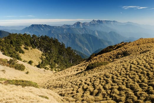 Mountain landscape with golden grassland in the morning.