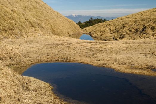 Snow mountain and golden grassland lake in morning.