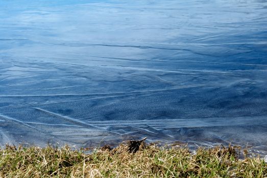 Beautiful strange iced pond surface and rock.