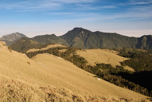 Mountain landscape with golden grassland in the morning.