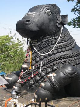 The second largest Nandi in India, Mysore