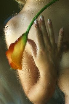 Beautiful woman body with a red flower