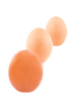 Three brown eggs in line over white
